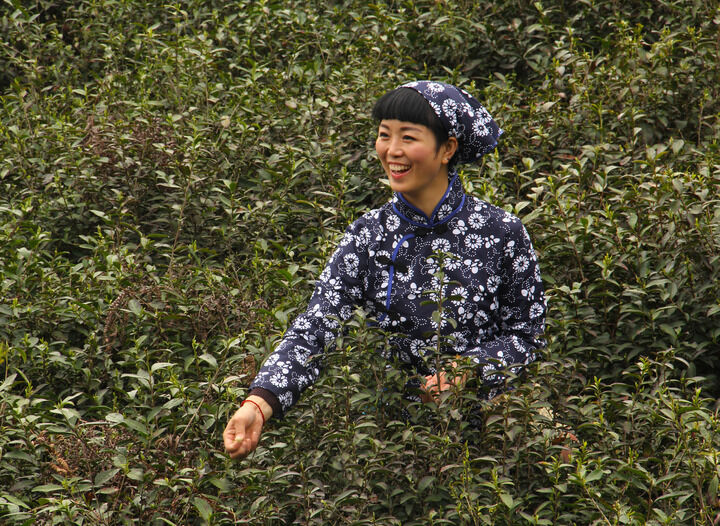 95网主播 欲望回廊